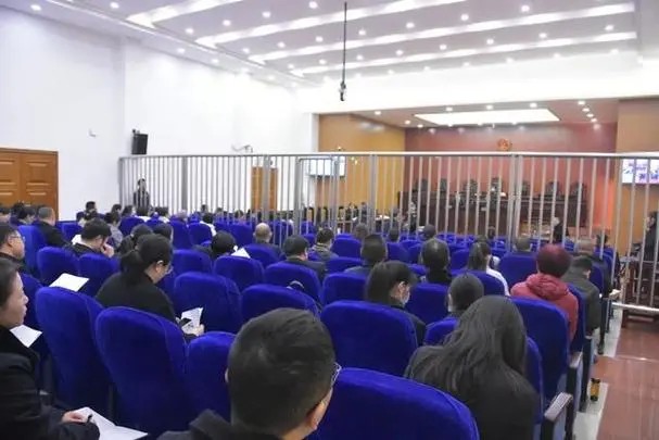 信凯杨丹丹律师一行受邀前往中国宋庆龄青少年科技文化交流中心开展普法讲座