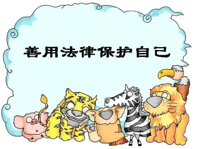 鱼跃工程 | “盈春启程 向阳而行”盈科上海07期律师助理培训班圆满结束