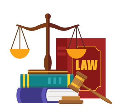 梅向荣主任出席浙江省第二届涉外法律服务论坛并发言